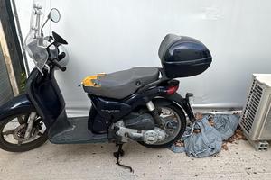 Scarabeo 100