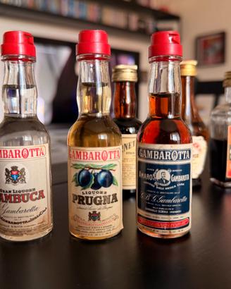 Collezione di mignon di liquori e distillati