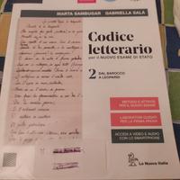 Libro codice letterario