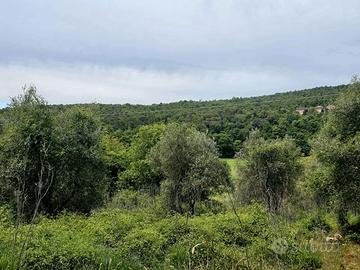 Privato vende terreno e proprieta' boschiva