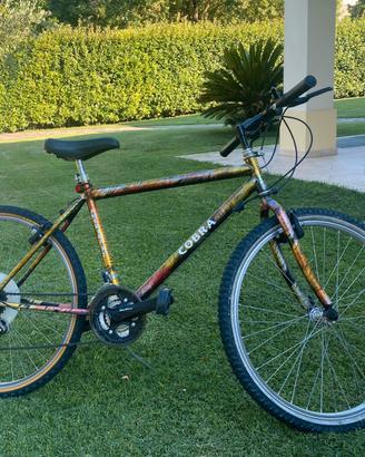 Bicicletta ragazzo COBRA
