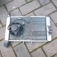 Terra 125: cerchio pinza radiatore pompa cover