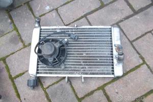 Terra 125: cerchio pinza radiatore pompa cover