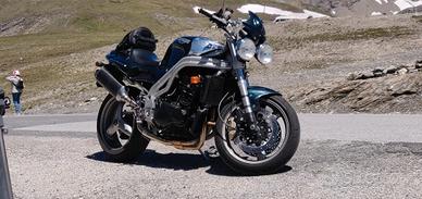 SPEED TRIPLE 955 ASTON GREEN DA COLLEZIONE 