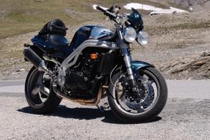SPEED TRIPLE 955 ASTON GREEN DA COLLEZIONE 