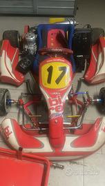 Kart birel