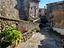 Immagine 6