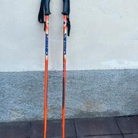 Bacchette da sci usate