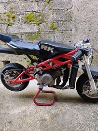 minimoto da competizione 