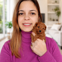 Cucciola Barboncina red