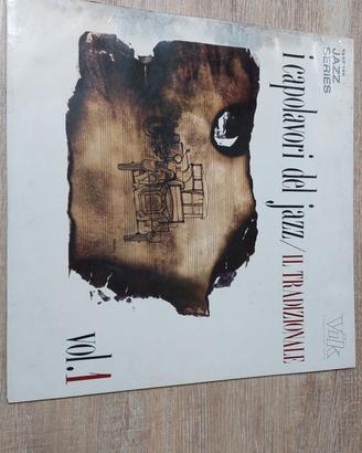 Dischi in vinile 33 giri