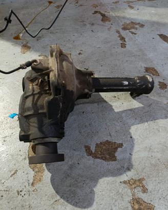 Differenziale Posteriore Land Rover Range Rover