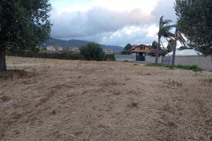 Terreno pianeggiante