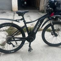 Ebike Giant