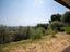 Immagine 21
