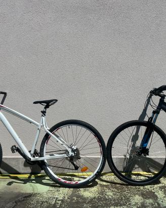 MTB 29
