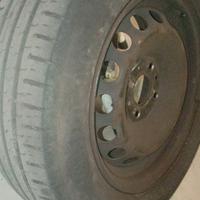 Gomme panda con cerchi