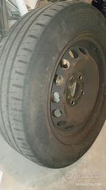 Gomme panda con cerchi