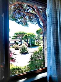 Appartamento al mare