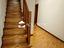 Immagine 22