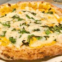 Pizzaiolo  Napoletana 