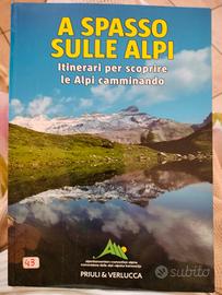 A spasso sulle Alpi di Priuli e Verlucca