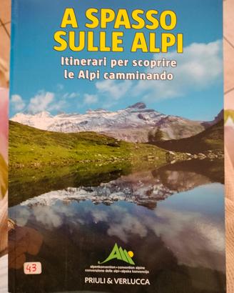 A spasso sulle Alpi di Priuli e Verlucca