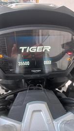  Triumph Tiger 1200 xr