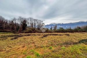 TER. AGRICOLO A AIRUNO