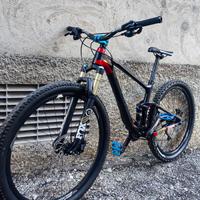 mtb giant