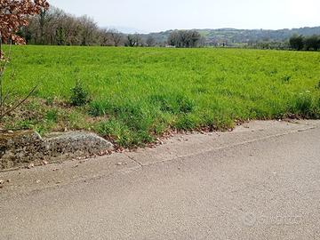 Terreno San Potito Sannitico