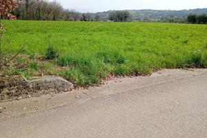 Terreno San Potito Sannitico