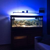 Acquario 450L artigianale + sump, pompe e luci