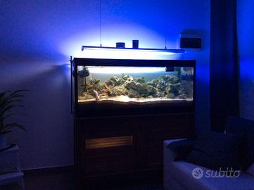 Acquario 450L artigianale + sump, pompe e luci
