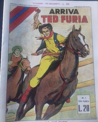 Ted furia