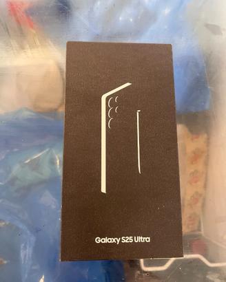  Samsung S25 1TB nero