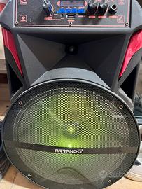 Cassa Karaoke 120 Watt