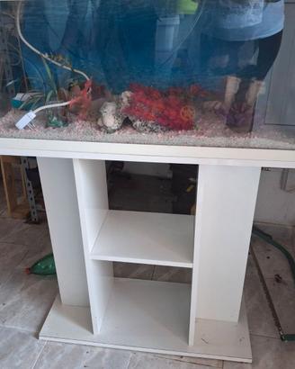 Acquario+mobile