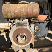 Motopompa agricola Lombardini