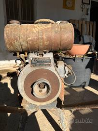 Motopompa agricola Lombardini