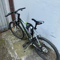 Bicicletta Carnielli 900, unisex, altezza max 180