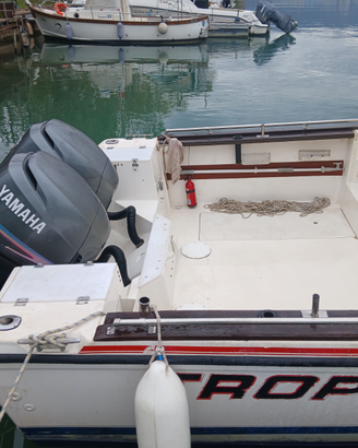 Bayliner trophy2302