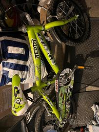 Bicicletta bambini