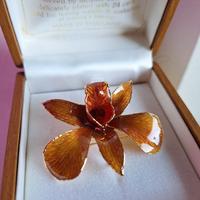 Spilla orchidea della Thailandia 