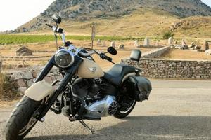 Harley Davidson Fat Boy Special colore Sand Denim