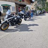 Suzuky v strom 650 xt