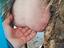 Immagine 3