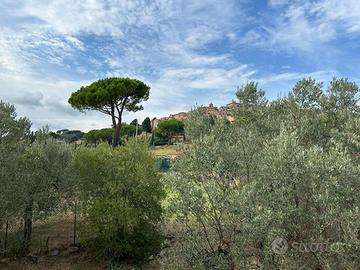 Villetta schiera a Casale Marittimo