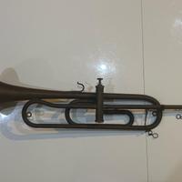 Tromba Antica, Desidera Verona 1948