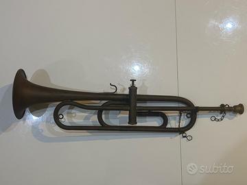 Tromba Antica, Desidera Verona 1948